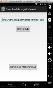 DownloadManager Kullanımı