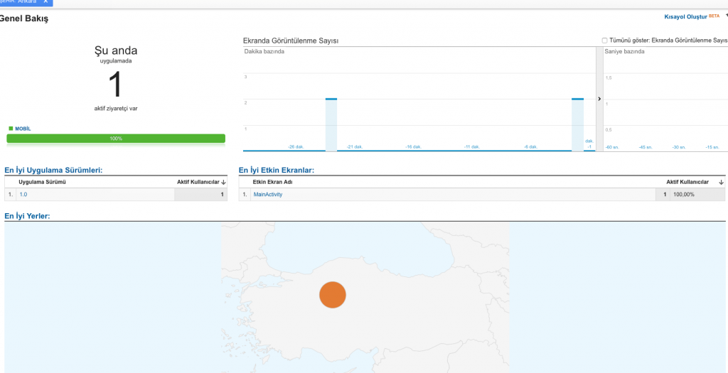 analytics ekranı