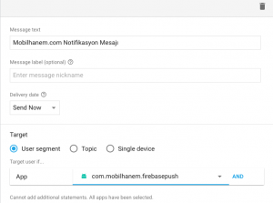 firebase panel