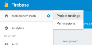 firebase konsol project setting