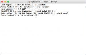 java version terminal