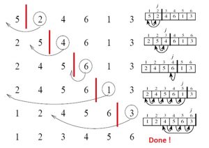 insertion sort