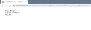 Controller' dan View' e Dizi ile Veri Aktarma Resim