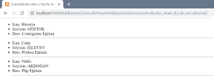 Controller' dan View' e Dizi ile Veri Aktarma Çıktı Resim