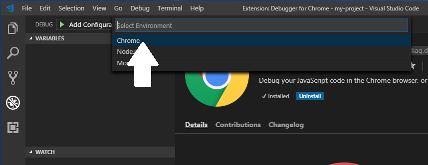 angular proje ide çalıştırma debugger seçme