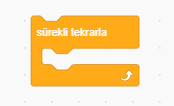 Sürekli tekrarla kontrol komutu