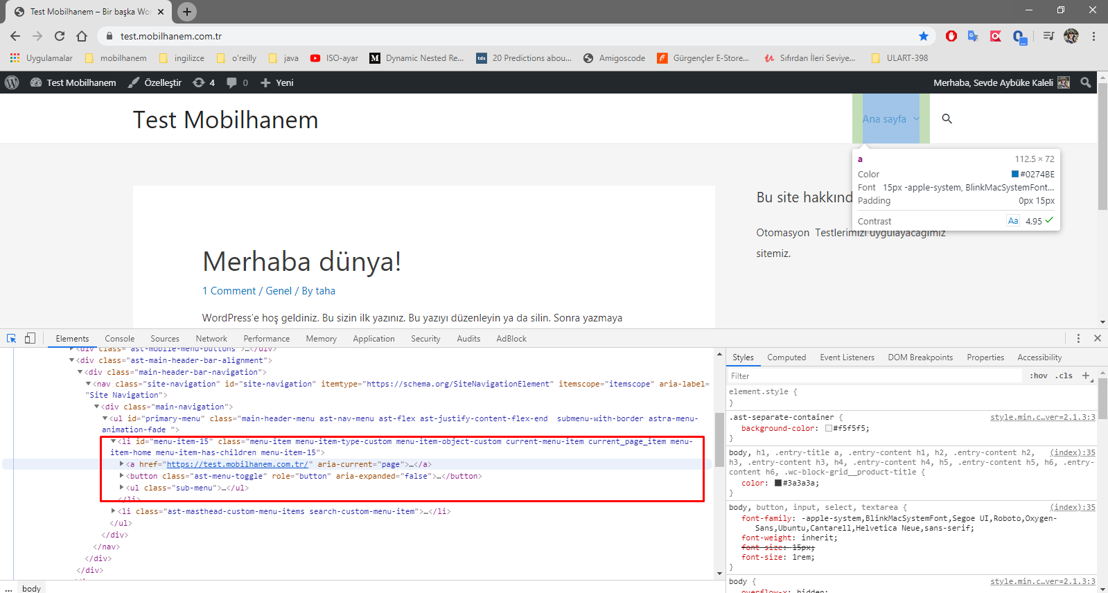 Selenium API ve Obje Hareketleri